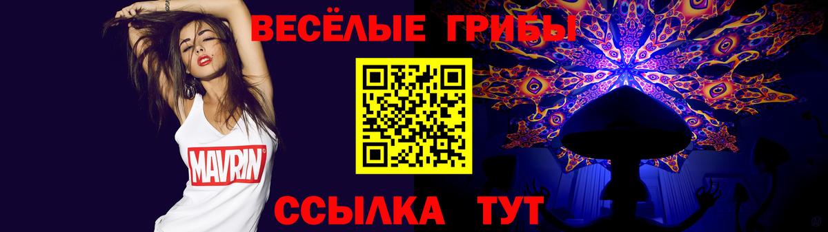 Псилоцибиновые грибы Cubensis Гусев